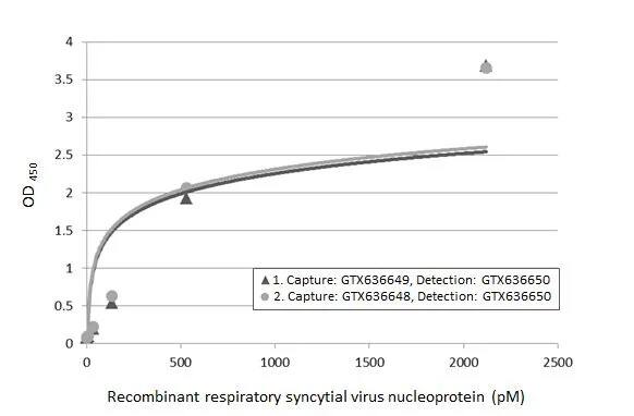 Respiratory Syncytial Virus Nucleoprotein Antibody (HL1248) - Azide and BSA Free