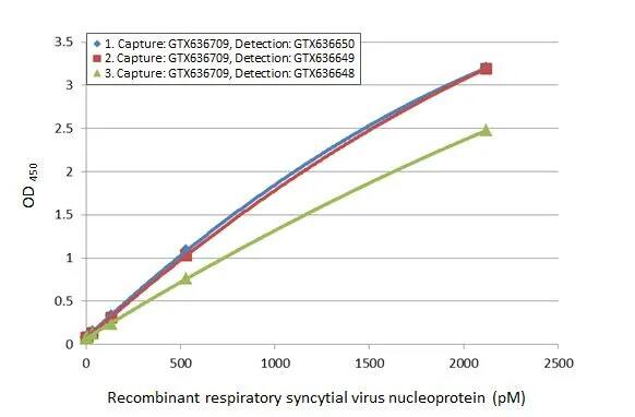 Respiratory Syncytial Virus Nucleoprotein Antibody (HL1248) - Azide and BSA Free