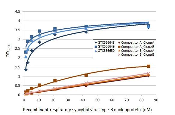 Respiratory Syncytial Virus Nucleoprotein Antibody (HL1248) - Azide and BSA Free
