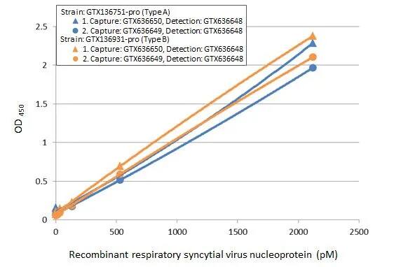 Respiratory Syncytial Virus Nucleoprotein Antibody (HL1248) - Azide and BSA Free