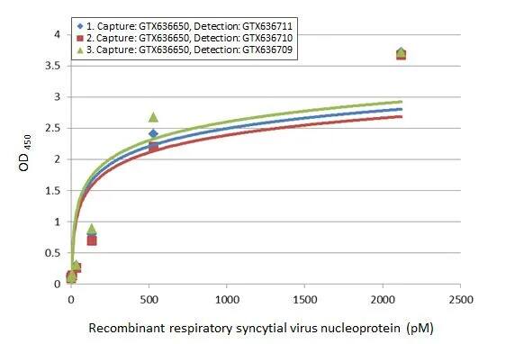 Respiratory Syncytial Virus Nucleoprotein Antibody (HL1295) - Azide and BSA Free