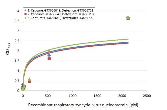 Respiratory Syncytial Virus Nucleoprotein Antibody (HL1297) - Azide and BSA Free