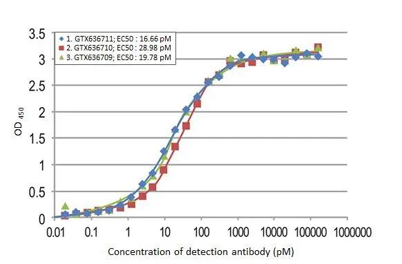 Respiratory Syncytial Virus Nucleoprotein Antibody (HL1297) - Azide and BSA Free