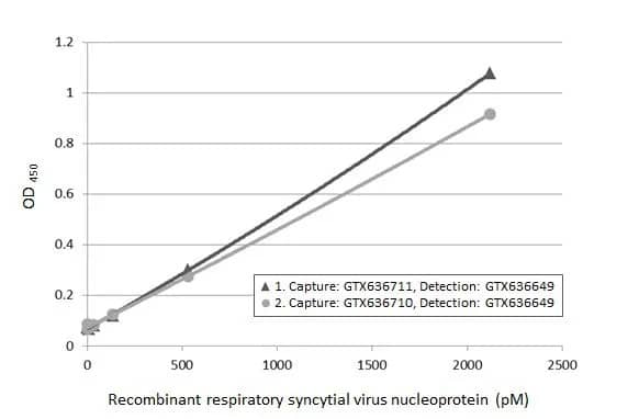 Respiratory Syncytial Virus Nucleoprotein Antibody (HL1297) - Azide and BSA Free