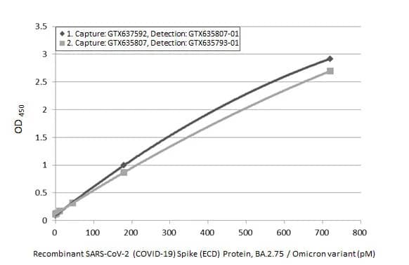 SARS-CoV-2 Spike RBD Antibody (HL1867) - Omicron Variant - Azide and BSA Free
