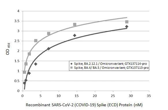 SARS-CoV-2 Spike RBD Antibody (HL1867) - Omicron Variant - Azide and BSA Free
