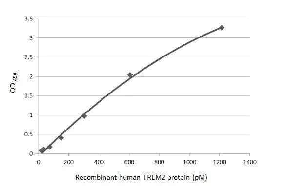 TREM2 Antibody (HL1738) - Azide and BSA Free