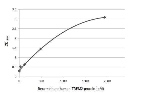 TREM2 Antibody (HL1738) - Azide and BSA Free