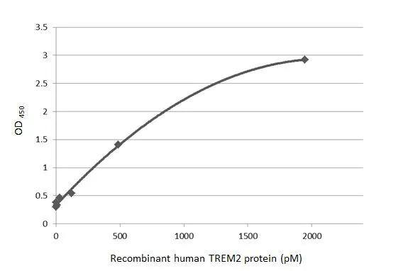 TREM2 Antibody (HL1738) - Azide and BSA Free