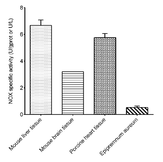NADH Oxidase/NOX Activity Assay Kit (Colorimetric)