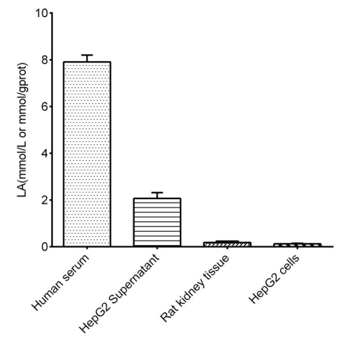 L-Lactic Acid Assay Kit (Colorimetric)