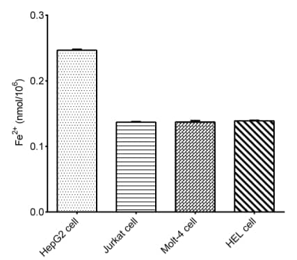 Cell Ferrous Iron (Fe2+) Assay Kit (Colorimetric)