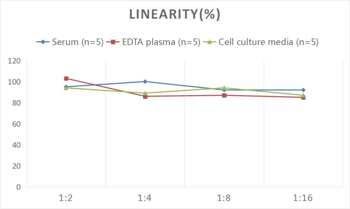 Human Fibrillin 1 ELISA Kit (Colorimetric)