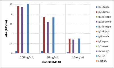 Lambda Light Chain Antibody (RM110) - Azide and BSA Free