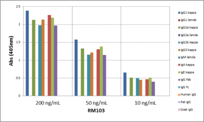Kappa Light Chain Antibody (RM103) - Azide and BSA Free