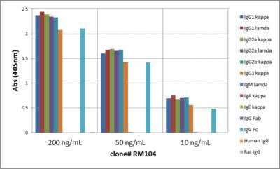 IgG Antibody (RM104) - Azide and BSA Free