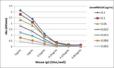 IgG Antibody (RM104) - Azide and BSA Free