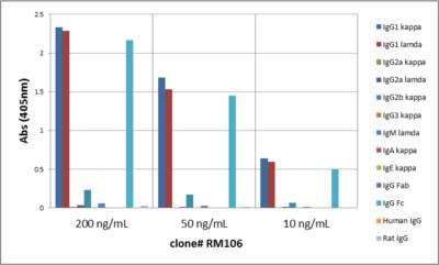 IgG1 Antibody (RM106) - Azide and BSA Free