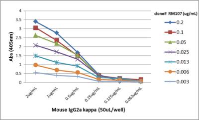 IgG2a Kappa Antibody (RM107) - Azide and BSA Free
