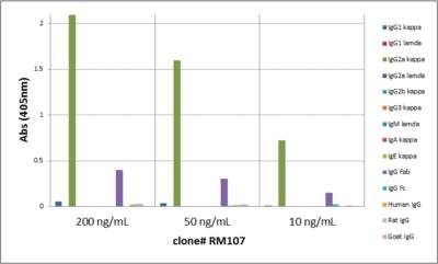 IgG2a Kappa Antibody (RM107) - Azide and BSA Free