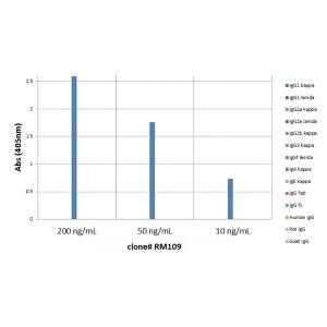 IgM Antibody (RM109) - Azide and BSA Free