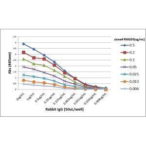 IgG Antibody (RMG03) - Azide and BSA Free