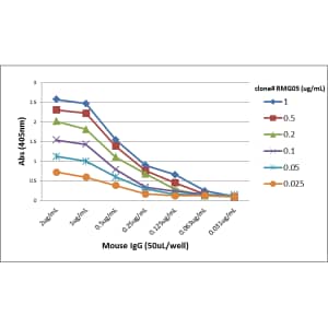 IgG F(ab) Antibody (RMG05) - Azide and BSA Free