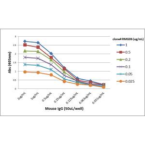 IgG Fc Antibody (RMG06) - Azide and BSA Free