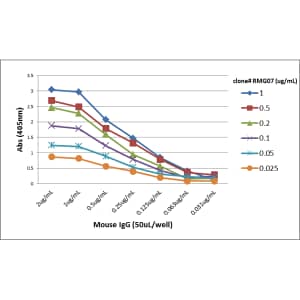 IgG Antibody (RMG07) - Azide and BSA Free