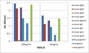 Kappa Light Chain Antibody (RM126) - Azide and BSA Free