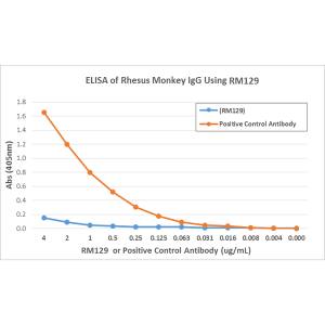 Ig Light Chain Antibody (RM129) - Azide and BSA Free