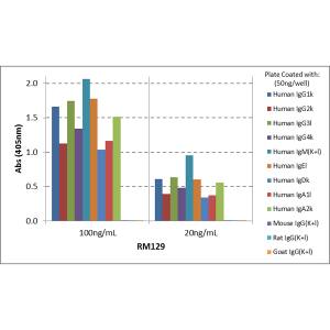 Ig Light Chain Antibody (RM129) - Azide and BSA Free