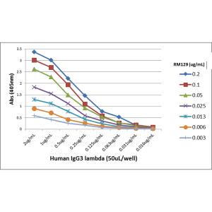 Ig Light Chain Antibody (RM129) - Azide and BSA Free