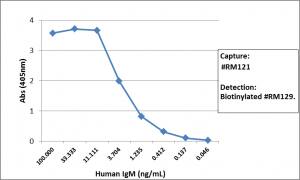 IgM Antibody (RM121) - Azide and BSA Free