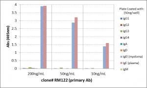 IgE Antibody (RM122) - Azide and BSA Free