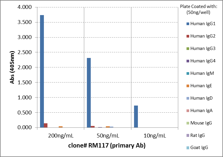 IgG1 Antibody (RM117) - Azide and BSA Free