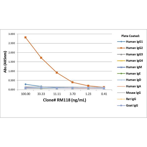 IgG2 Antibody (RM118) - Azide and BSA Free