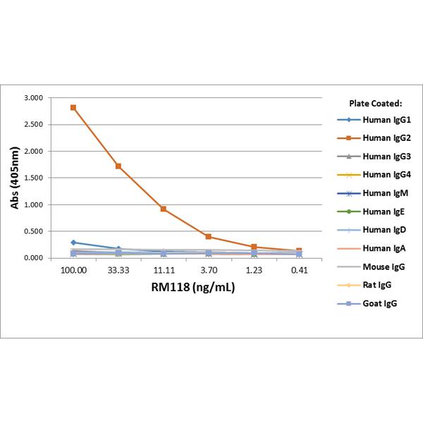 IgG2 Antibody (RM118) - Azide and BSA Free