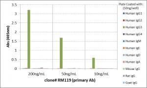 IgG3 Antibody (RM119) - Azide and BSA Free