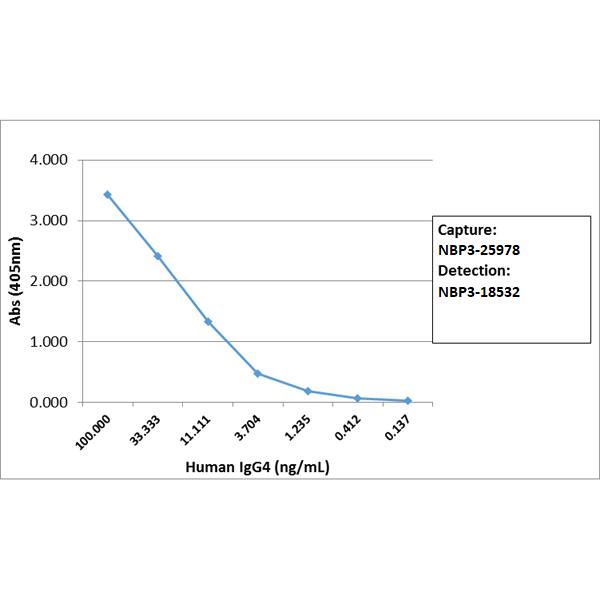 IgG4 Fc Antibody (RM217) - Azide and BSA Free
