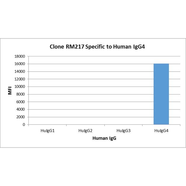 IgG4 Fc Antibody (RM217) - Azide and BSA Free