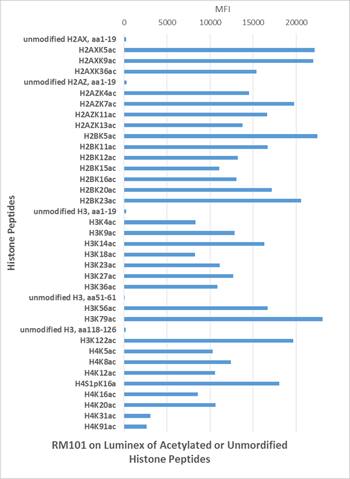 Acetyl-Lysine Antibody (RM101) - Azide and BSA Free