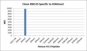 Histone H3 [Dimethyl Lys4] Antibody (RM135) - Azide and BSA Free
