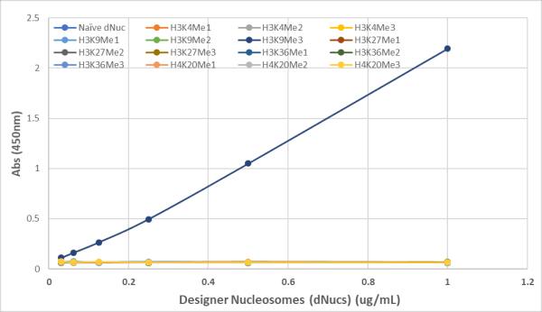 Histone H3 [Trimethyl Lys9] Antibody (RM389) - Azide and BSA Free