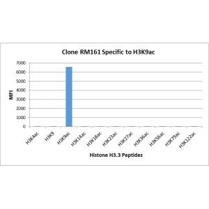Histone H3 [ac Lys9] Antibody (RM161) - Azide and BSA Free