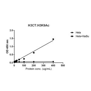 Histone H3 [ac Lys9] Antibody (RM161) - Azide and BSA Free