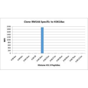 Histone H3 [ac Lys18] Antibody (RM166) - Azide and BSA Free