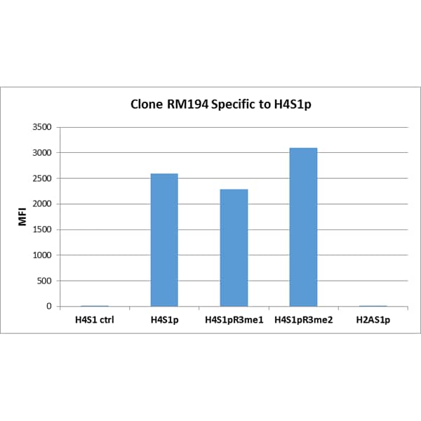 Histone H4 [p Ser1] Antibody (RM194) - Azide and BSA Free