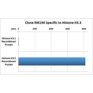 Histone H3.3 Antibody (RM190) - Azide and BSA Free