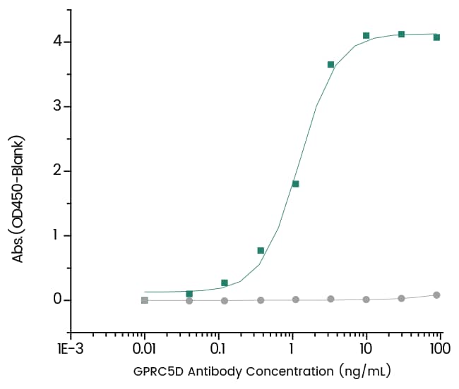 GPRC5D Antibody (06) - Azide and BSA Free